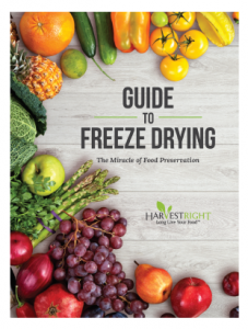 cover image for the guide to freeze drying
