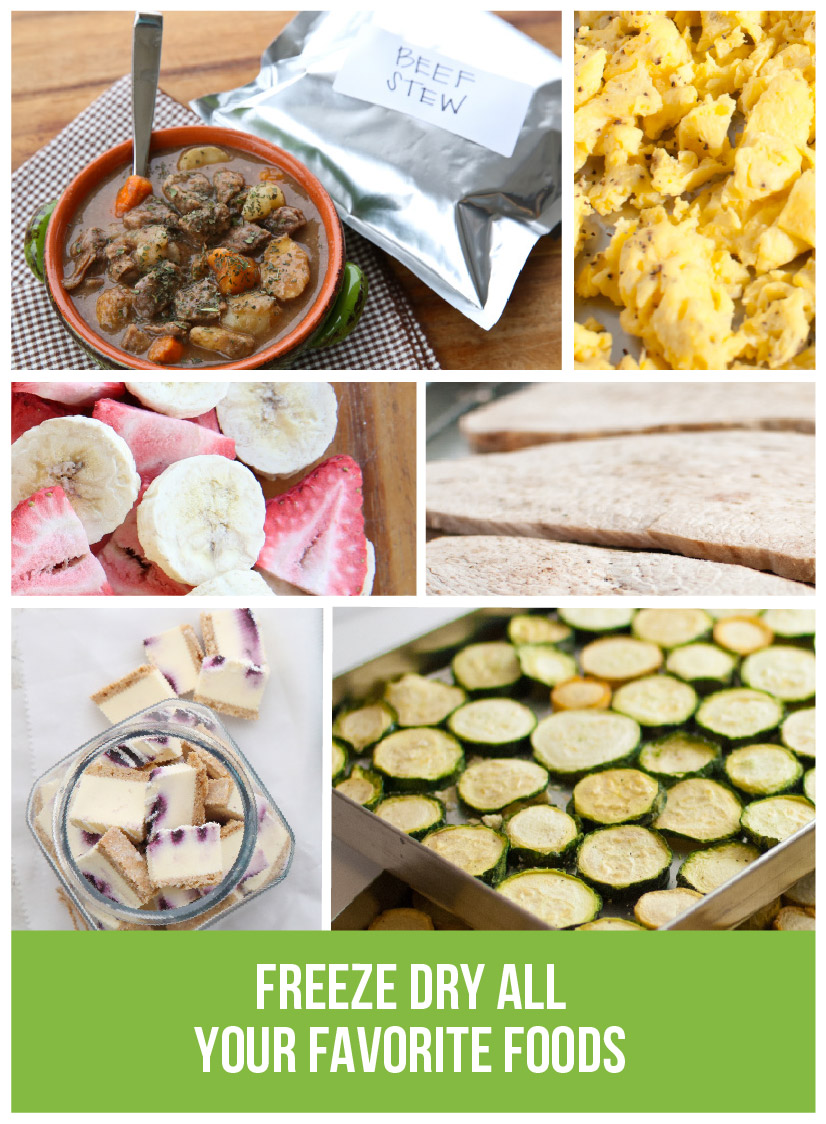 Various types of freeze dried food with the caption: Freeze dry all your favorite foods