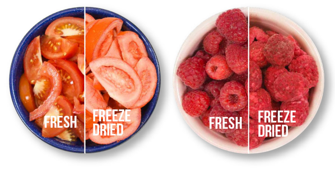 comparison of fresh vs freeze dried: tomatoes and raspberries